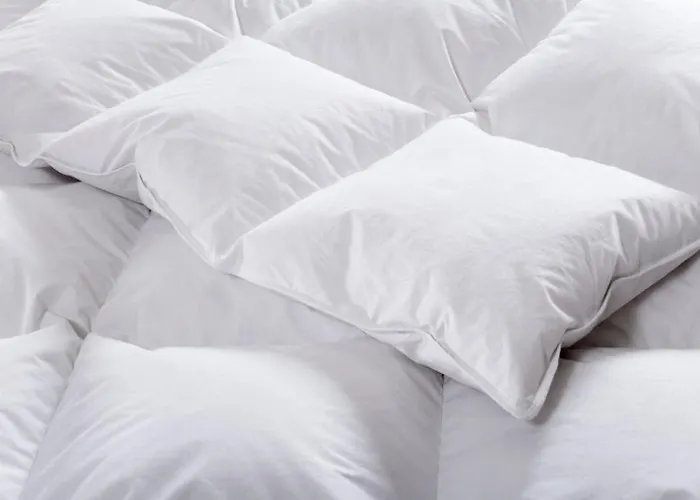 Adrett Am Dom - Digital Access 3*