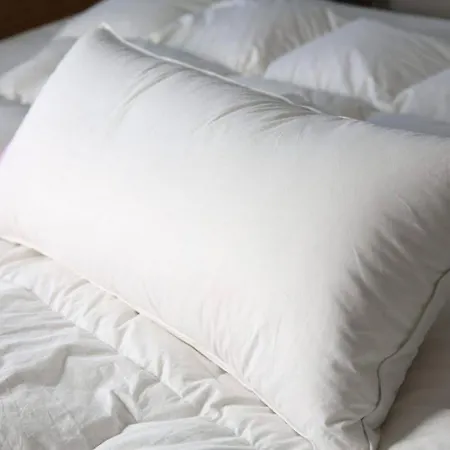 Hotel Adrett Am Dom - Digital Access Colonia